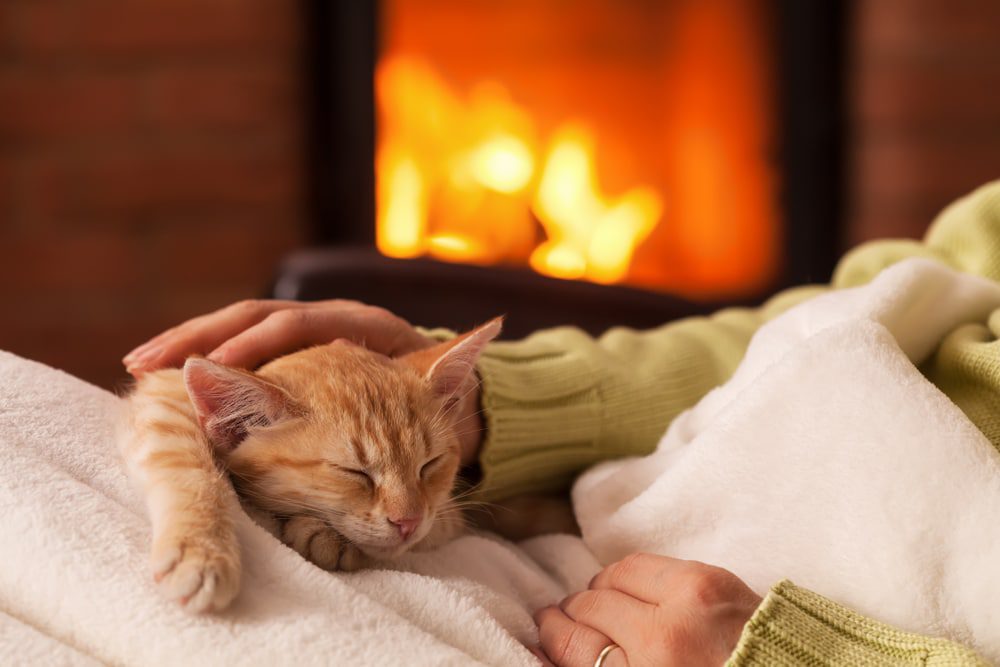 A person in a light green sweater rests their hand on a sleeping orange kitten lying on a white blanket, with a warm fireplace glowing in the background.