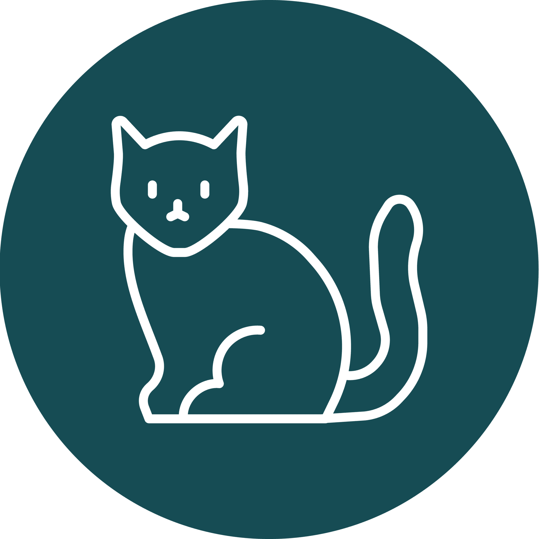 Cat-Friendly Team