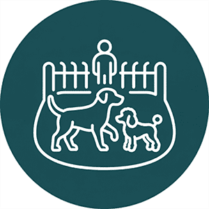 Safe, Supervised Socialization